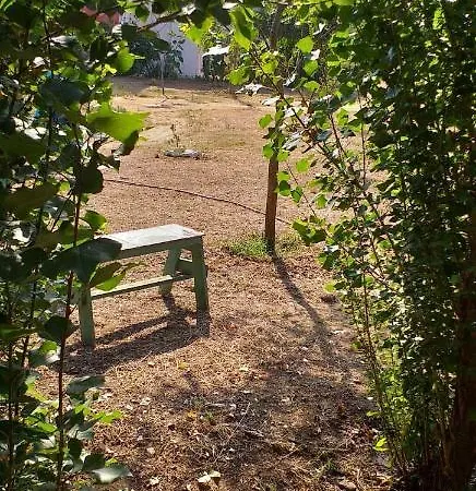 بيت للعطل Penelope's House Skala (Kefalonia)